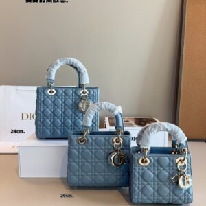 DIOR-レディディオール