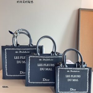 Dior Book Tote
