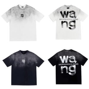 アレキサンダー・ワン T シャツ